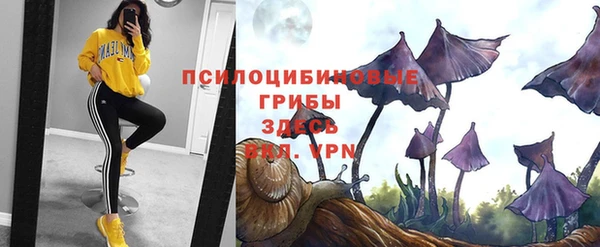 скорость Инсар